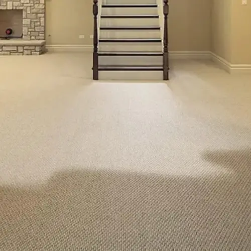 Wet Basement Carpet